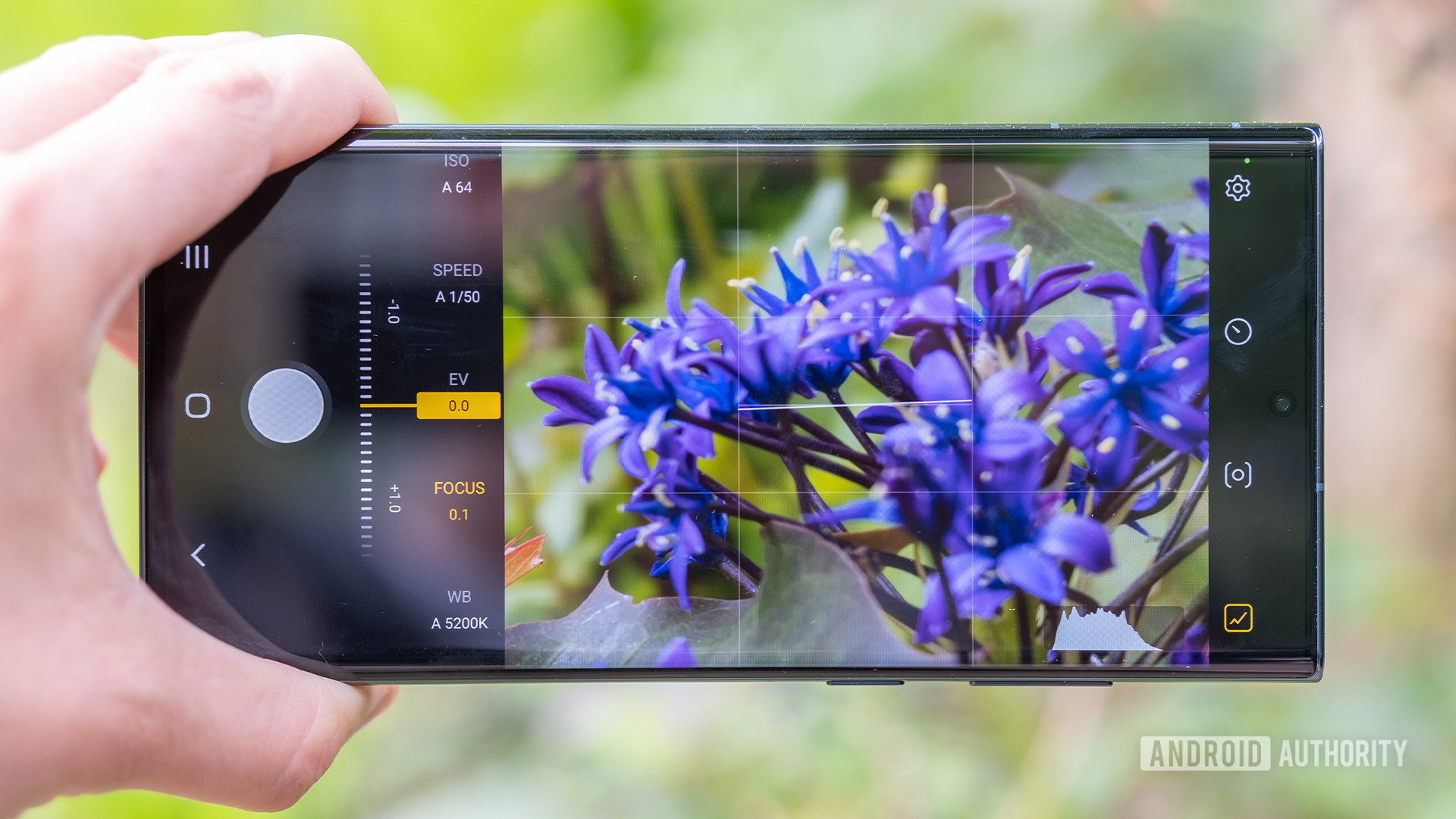 دستی Samsung Expert RAW عکسبرداری از گل ها را کنترل می کند