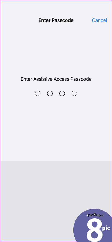 enter password to launch assistive access