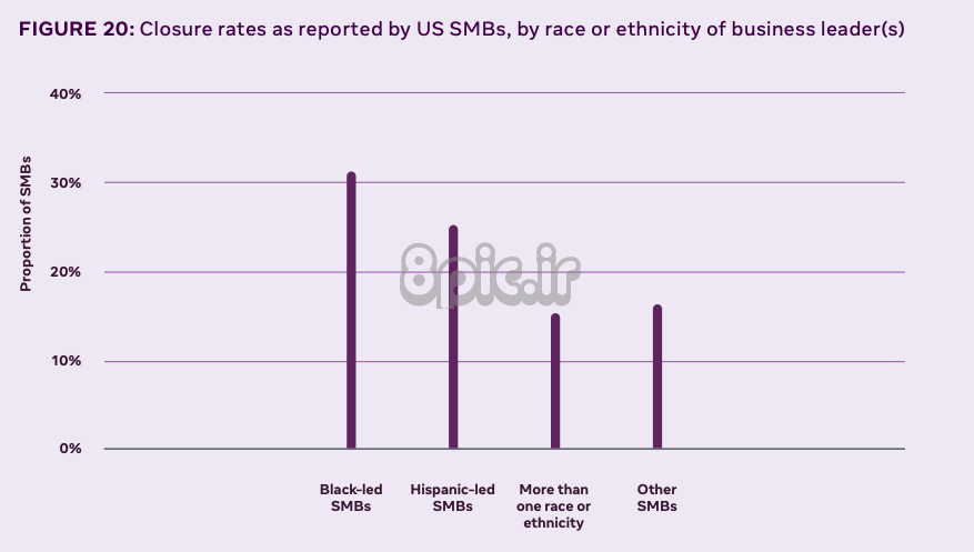 آمار کسب و کار کوچک، تنوع