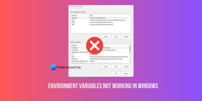 Environment Variables not working in Windows